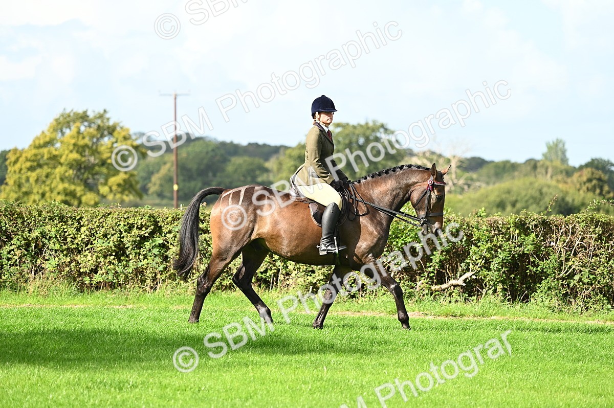 SBM_01744 - S2 - TSR Ridden Horse Showing