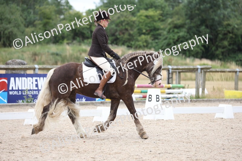 20250706-0195 - Class 14 - Prelim 6