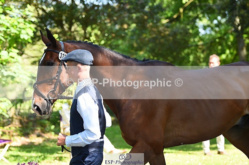 230524-152406-00245 - 325-LONESTAR-Thomas_Hawke-WEDTrotUp+DR