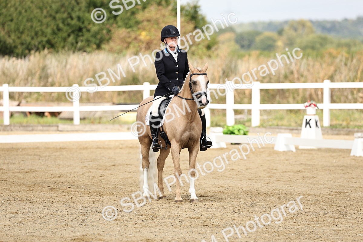 SBM_018222 - Class 16 - Novice 5 - 11.12-12.01