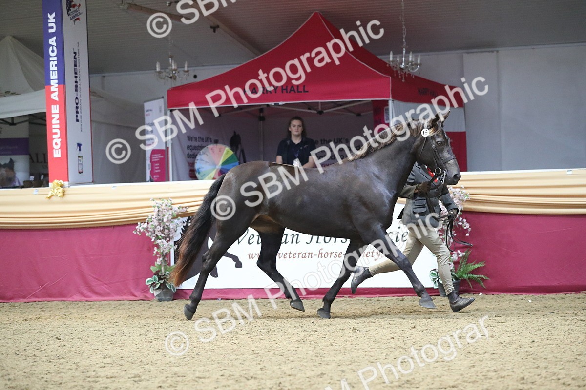 SBM_15156 - Class 501 M&M IH Supreme Final