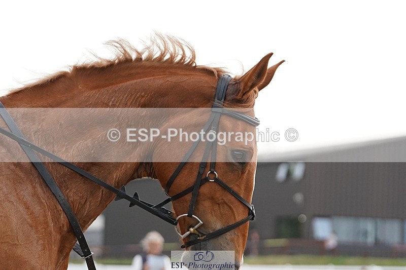 250621-083208-05450 - Quest Cls 1-5, Intro All