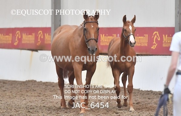 JAC_6454 - 19 Luca