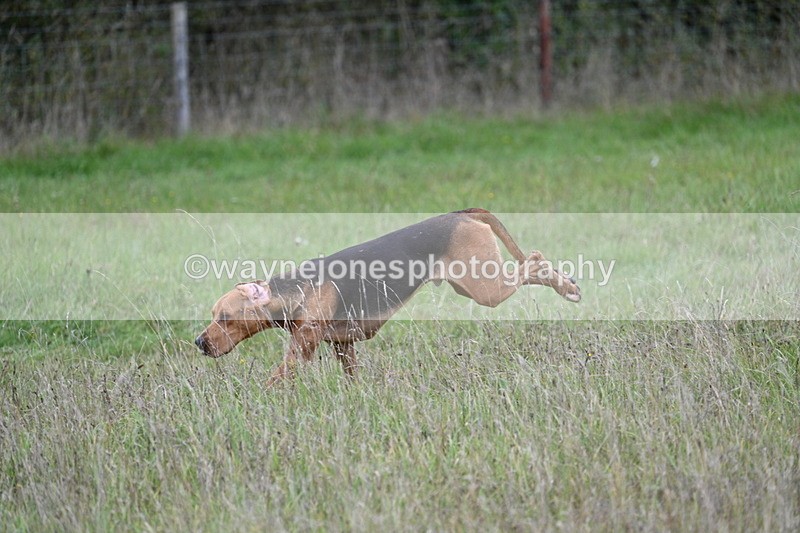 WJ7_3613 - Camera 1 Line 1