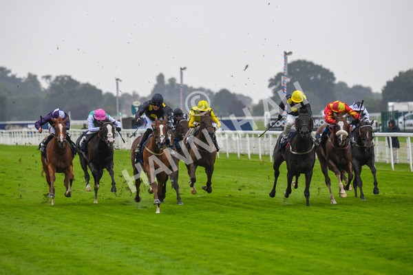 140723-Race 2-Swingalong-0146 - Race 2 2.40pm William Hill Summer Stakes