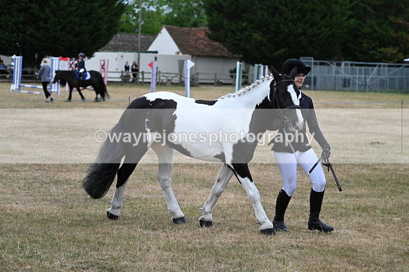 WJ7_8376 - Class 4 Prettiest Mare up to 14.2hh