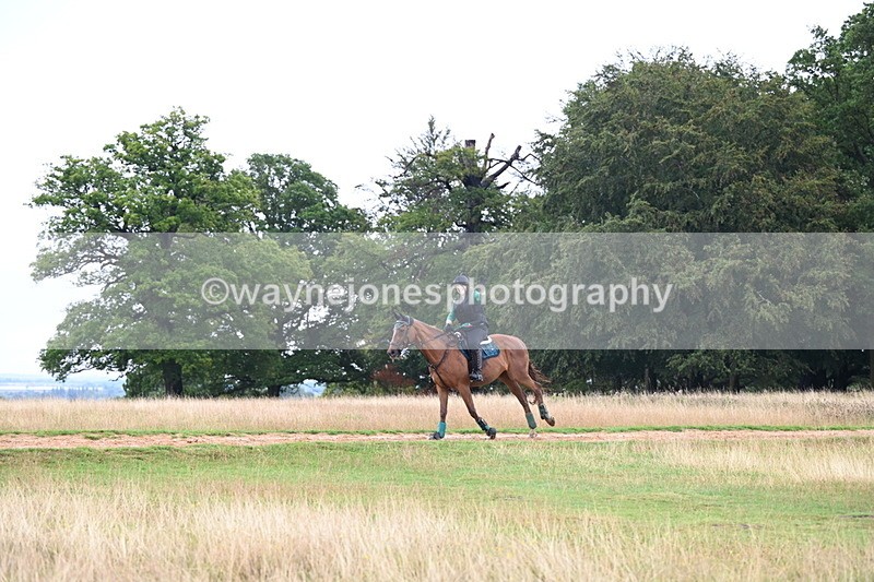 DSC_3731 - Time at Statue 13:51 to 14:55