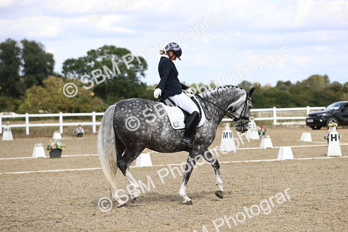 SBM_015235 - Class 5 - E5 Bronze 14.42.15.54
