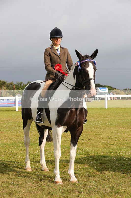 1X9A2951 - Class 25: Ridden Plaited Coloured Horse