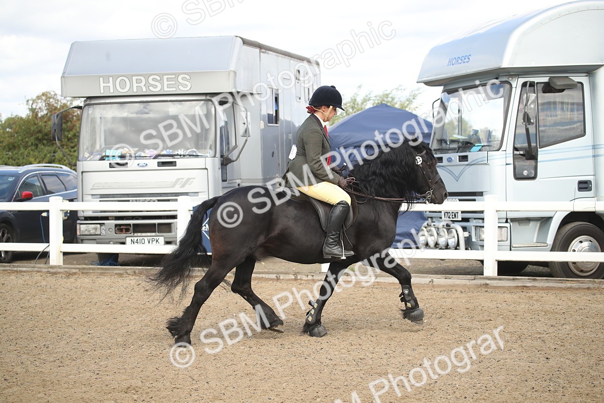 SBM_15192 - Class 505b - M&M Working Veteran - 50cm (20+)