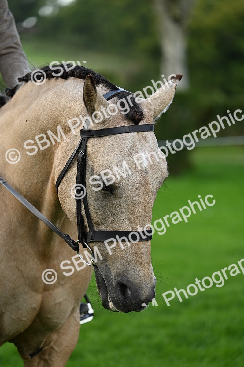 SBM_02079 - S2 - TSR Ridden Horse Showing
