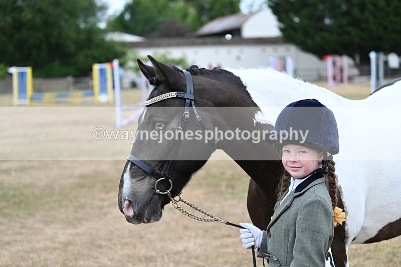 WJ7_9716 - Class 5 Most Handsome Gelding (up to 14.2hh)