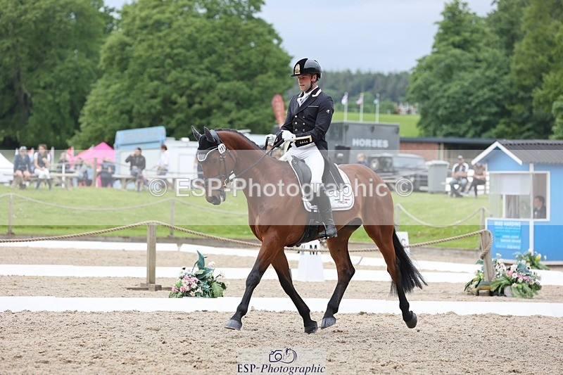 240523-145540-02971 - 231-DHI_ROCK_DANCER-Roberto_Scalisi