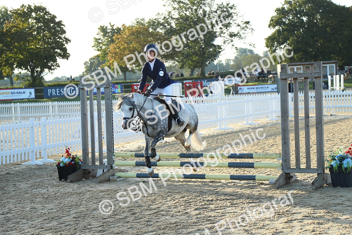 SBM_34884 - J5 - Junior Pony 50cm Championship