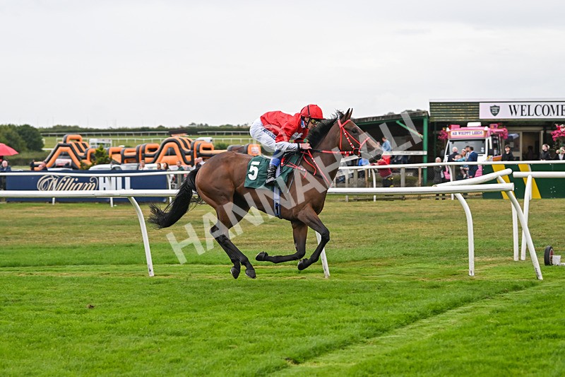 270825-Race 2-Rogue Attraction-4868 - Race 2