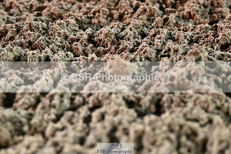 231105-173452-04717 - Cls 5 Novice 27 17.00 to End