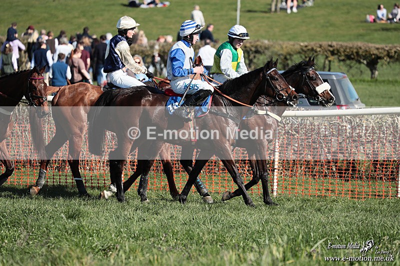 PtP 210326 429 - VWH Cirencester Races 21/03/26