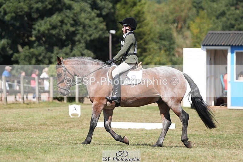 250823A-133327-31218 - Arena A