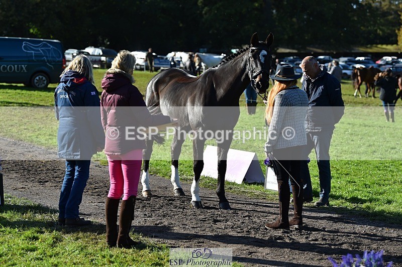 231022-111346-23819 - 565-LITTLE.M.II-Charlotte.Radley-TrotUp+SJ