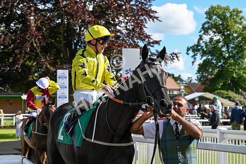 160624-Race 4-Align The Stars-8670 - Race 4