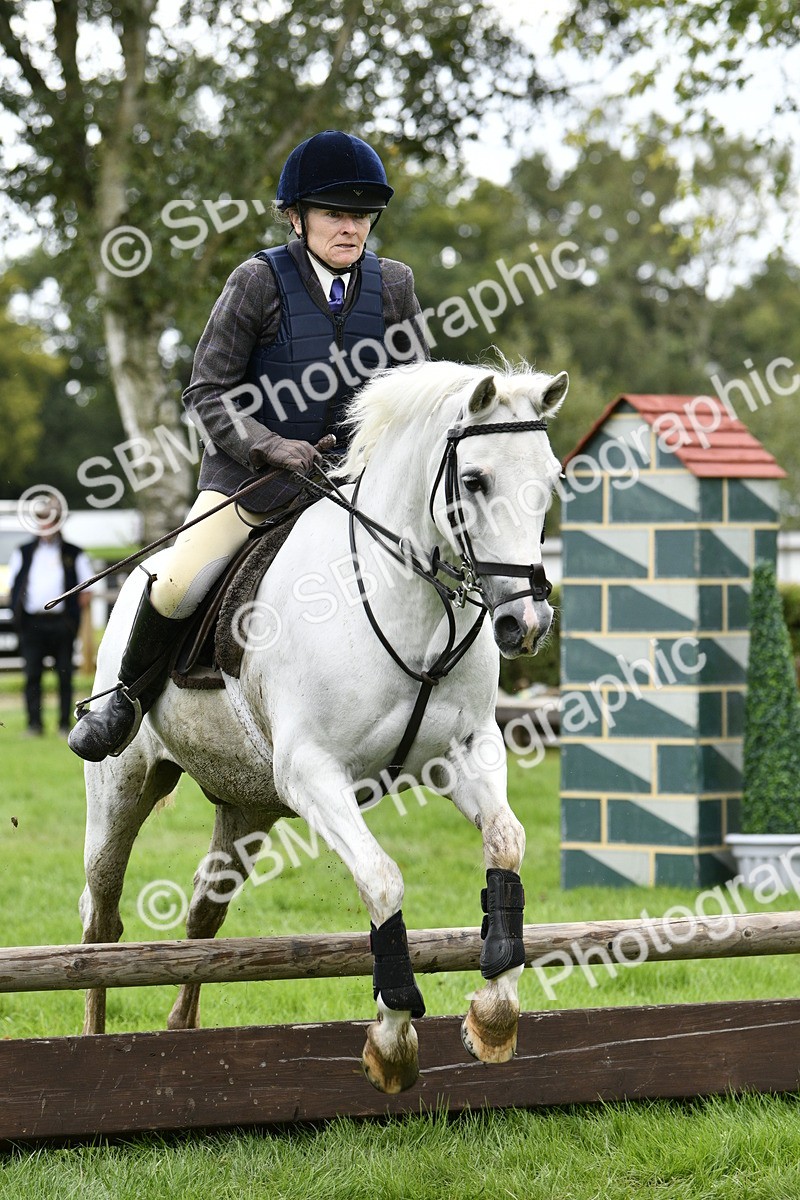 SBM_41307 - S32 - Mountain & Moorland Working Hunter Pony