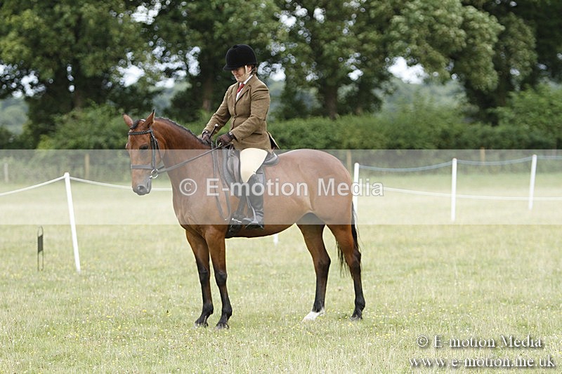 BVR160717-1667 - Ring 3 BVRC Show 16/07/17