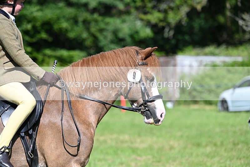 WJ7_0489 - Class 8 First Rally Pony