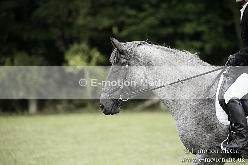 BVR080918 336 - BVRC Novice Dressage & CR 08/09/18