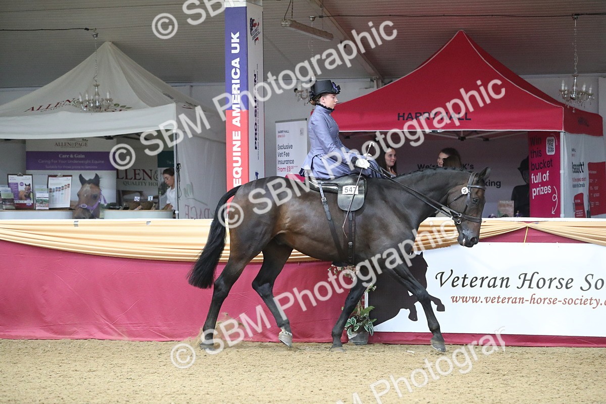 SBM_11519 - Class 105 Ridden Costume- Side Saddle