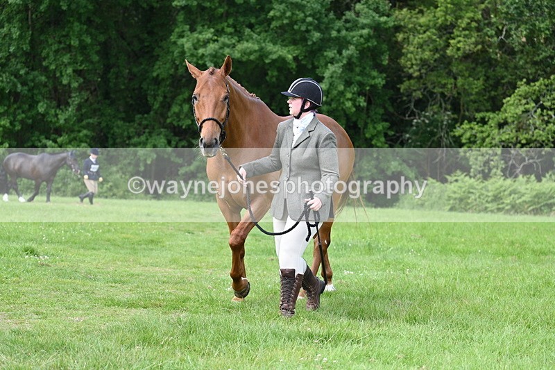 WJ7_0990 - Class 11 Condition & Turnout