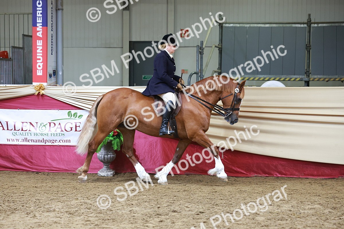 SBM_18572 - Class 952 - M&M Ridden Supreme Final