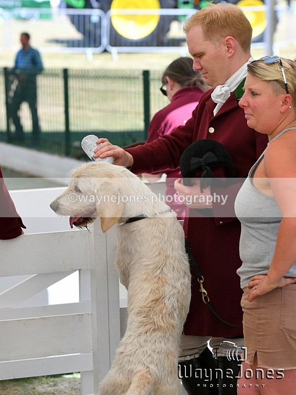 WJ5_1044 - Berks & Bucks at the Great Yorkshire Show 2025