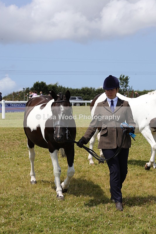 1X9A4874 - Class 35: Veteran In Hand