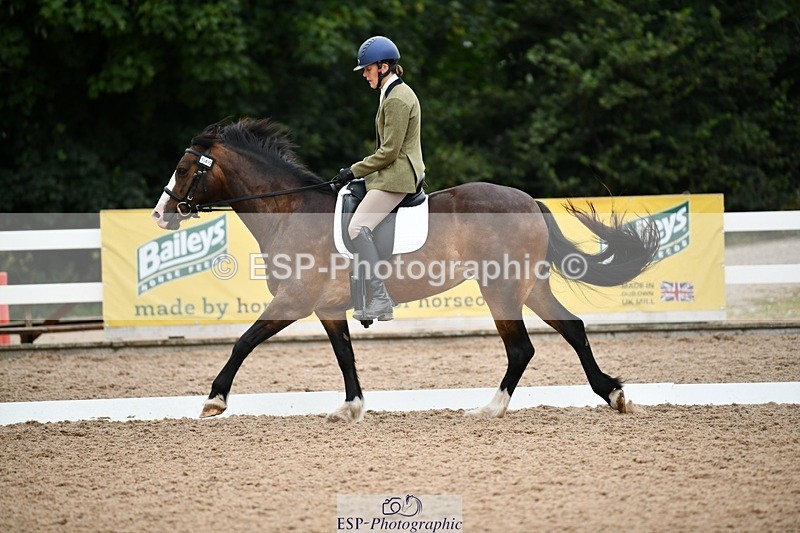 250705-101524-00183 - BRCP1 Sections BRCP1SNR, BRCP1JNR 09-30 to 10-40