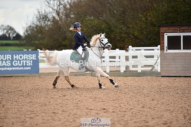 231203A-100314-00265 - Cls 2 British Novice & 80cm Open