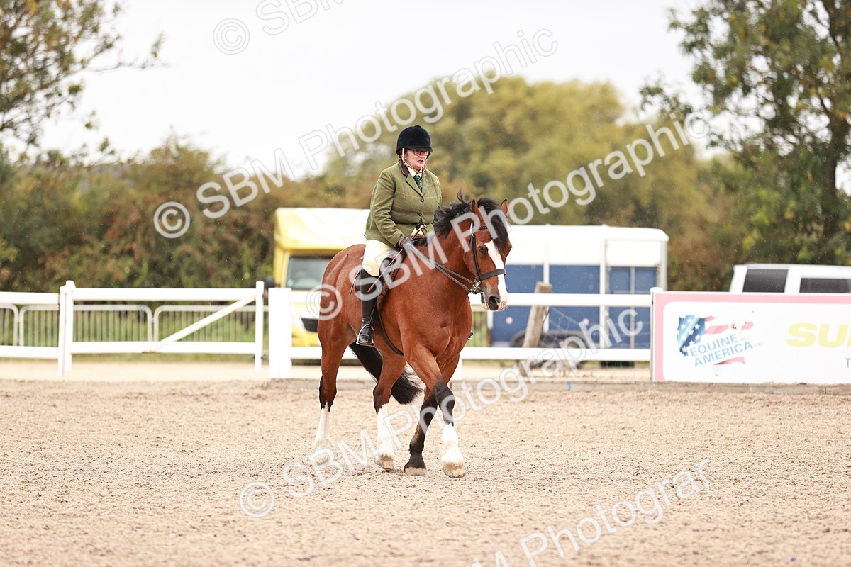 SBM_19024 - Class 422 - Ridden M&M