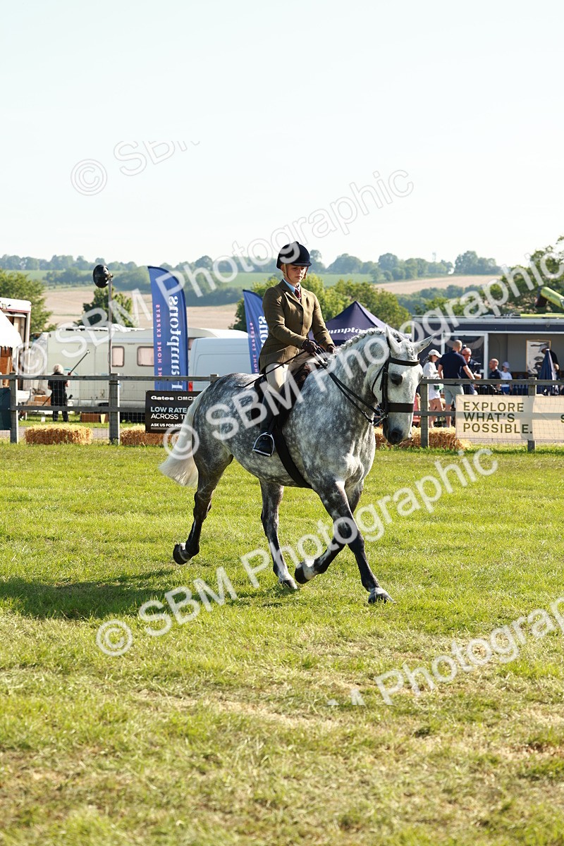 SBM_11769 - Class 66-69 - RIHS Ridden Hunters Inc Small Hunter