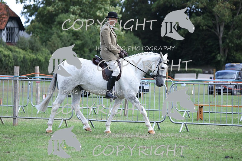 APP_4118 - Class 15a/b Pony club pony/Riding club horse