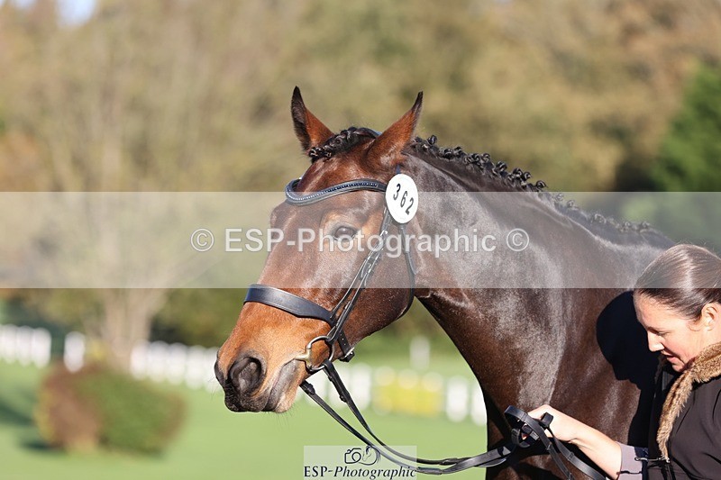 241027-084410-14784 - 362-Vicky.Stacey-HIGHDALE.AUTUMN.SUNRISE