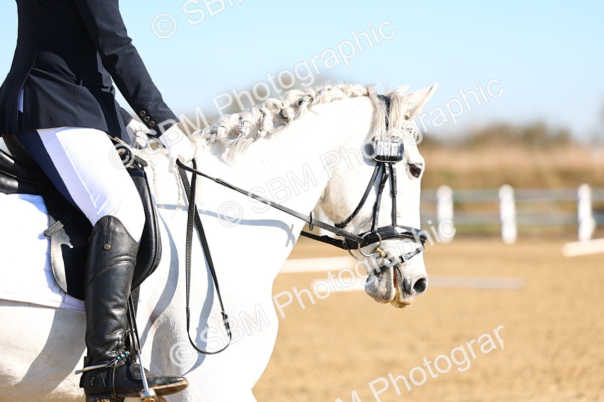 026A8453 - Class 2-6-5-4 - Paso Doble-Sevilla-Golega-Novato