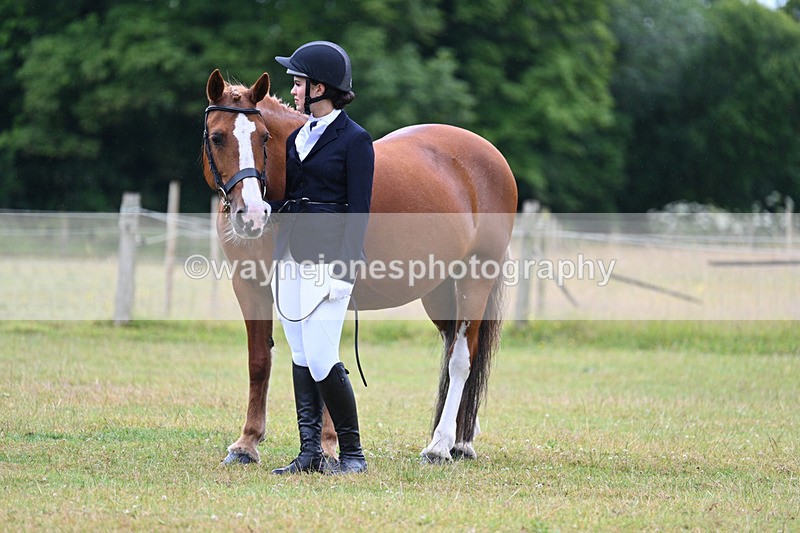WJ7_6217 - Class 4a Prettiest Mare over 14hh