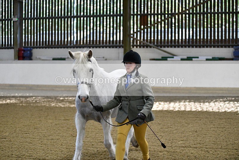WJ5_3557 - Class 5 In Hand Veterans