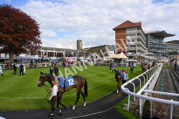 yr12052021r7-5 - Race 7 4.50 pm Conundrum HR Consulting Stakes