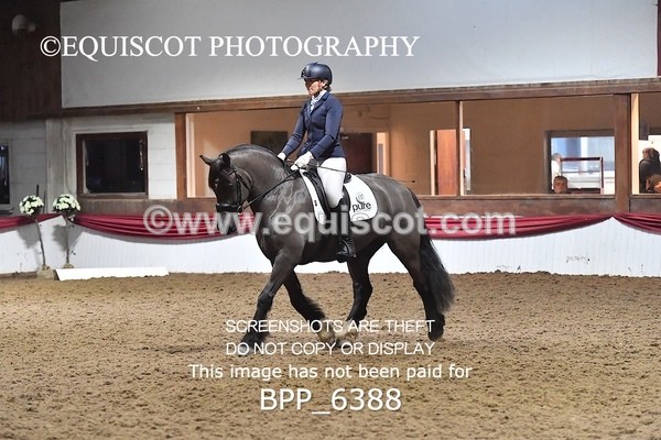 BPP_6388 - 37 Ellis Simister