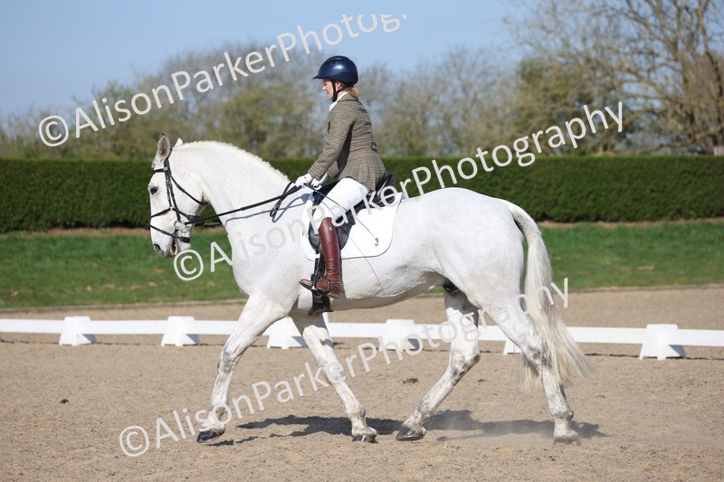 20250405-0224 - Class 11 - My Quest Novice 3