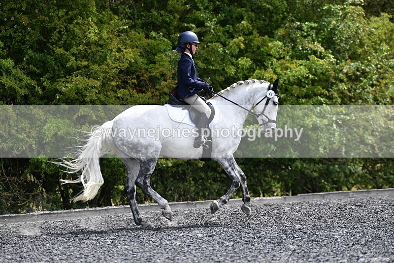 WJ5_1484 - Time 14:20 to 15:01