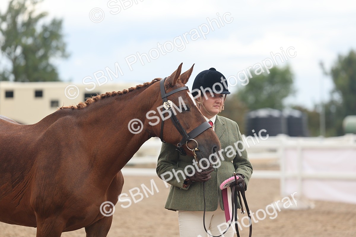 SBM_07839 - Class 27 - IH Competition Horse/Pony