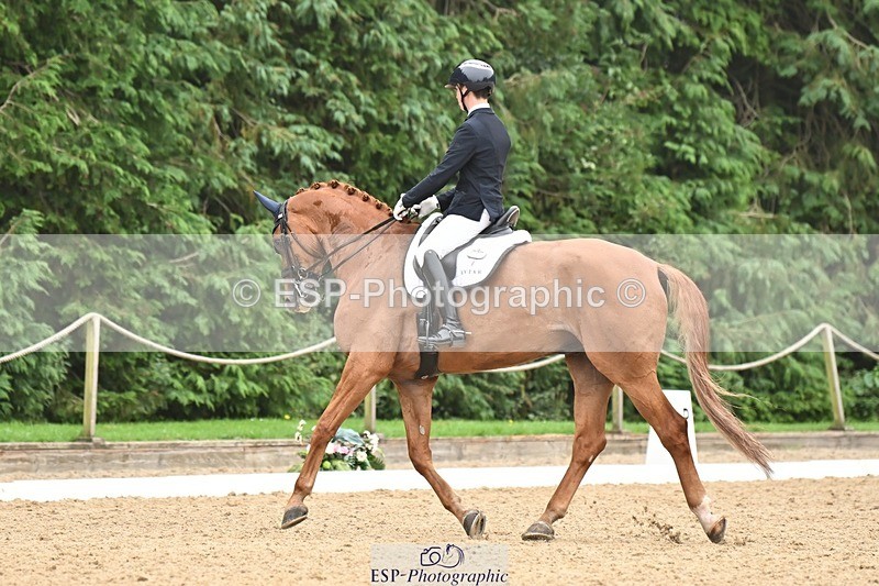 240811-113314-05200 - 208-Tom.Carter-Rubin.Regal