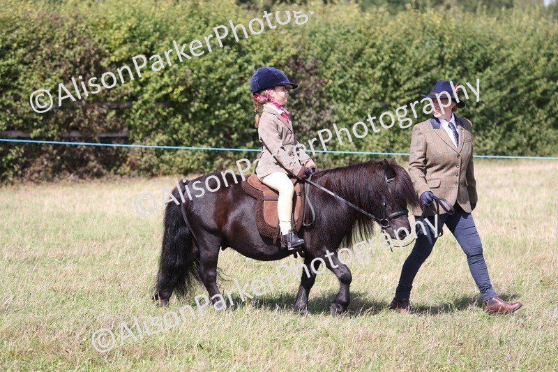 20260906-2746 - Class 25 - Absolute Beginners Pony
