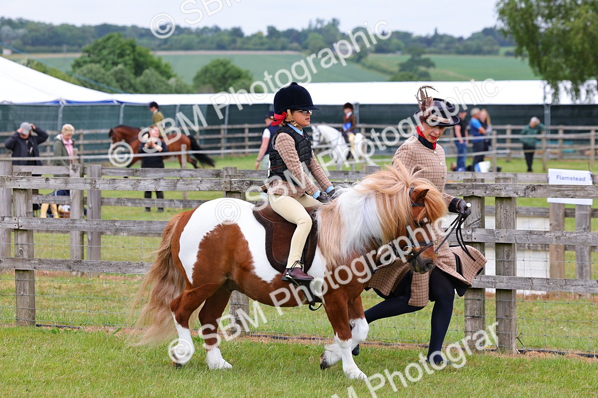 SBM_08092 - Class 42-43 - LIHS BSPS Heritage Working Sports Pony